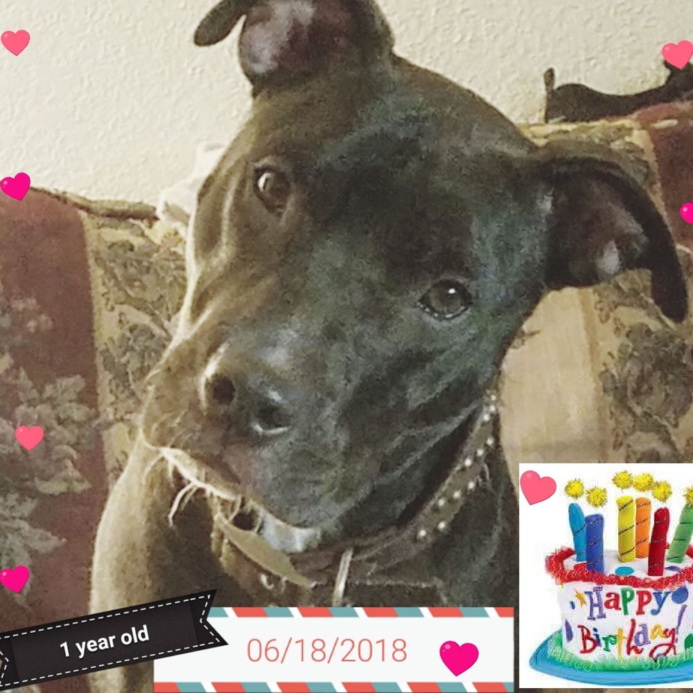 Meet your Posher, Barbara